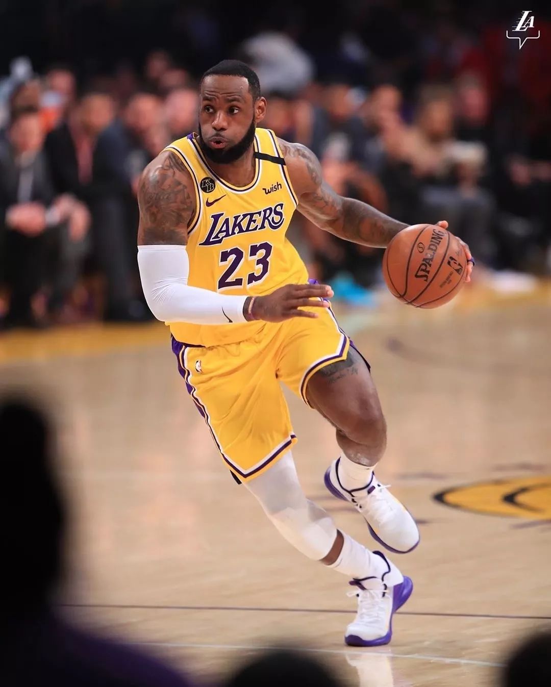 澳超前瞻：阿德莱德联本赛季客场全败，惠灵顿凤凰急需主场抢分