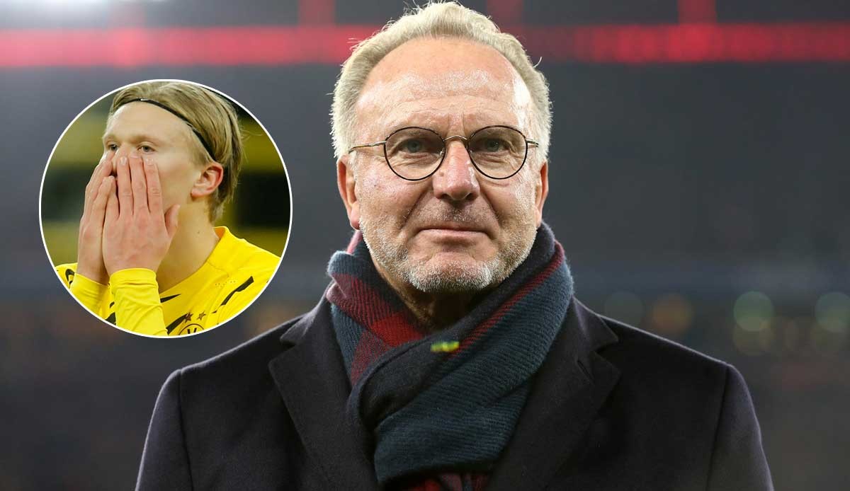 显中卫需要